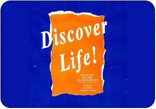 discover life page