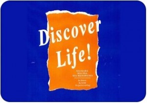 discover life Presbyterian Youth Ministry