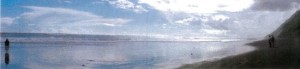 awhitu view